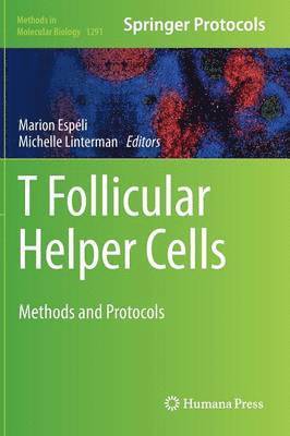 T follicular Helper Cells 1