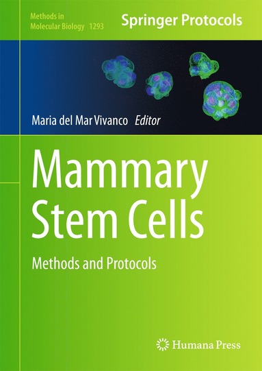 bokomslag Mammary Stem Cells