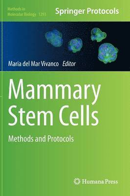 Mammary Stem Cells 1