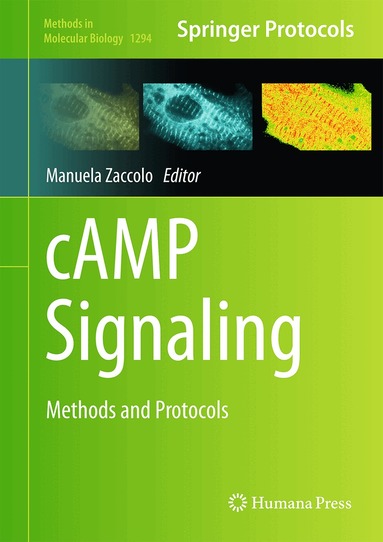 Manuela Zaccolo - cAMP Signaling, Inbunden