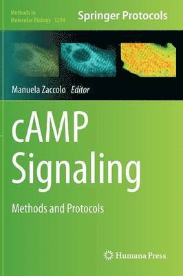 bokomslag cAMP Signaling