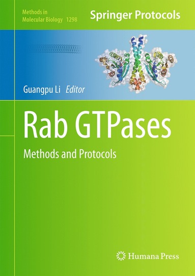 bokomslag Rab GTPases