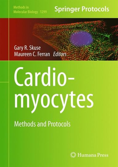 bokomslag Cardiomyocytes