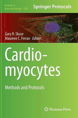 Cardiomyocytes