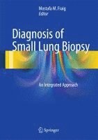 bokomslag Diagnosis of Small Lung Biopsy