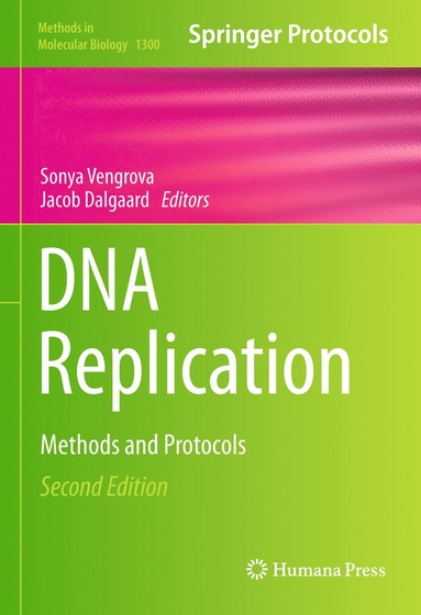 bokomslag DNA Replication