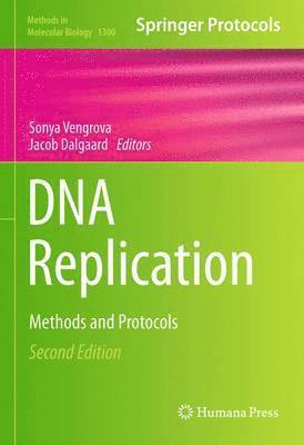 DNA Replication 1