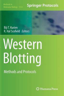 bokomslag Western Blotting