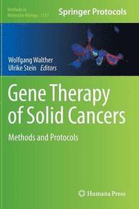 bokomslag Gene Therapy of Solid Cancers