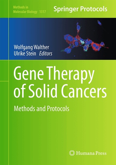 Wolfgang Walther, Ulrike Stein - Gene Therapy of Solid Cancers, Inbunden