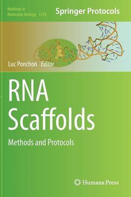 bokomslag RNA Scaffolds