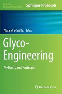 bokomslag Glyco-Engineering