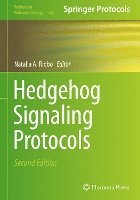 bokomslag Hedgehog Signaling Protocols