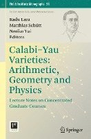 bokomslag Calabi-Yau Varieties: Arithmetic, Geometry and Physics