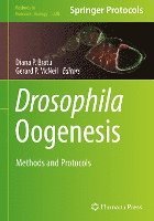 bokomslag Drosophila Oogenesis
