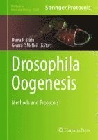 bokomslag Drosophila Oogenesis