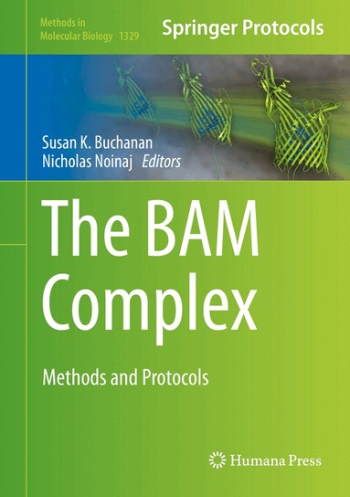 Susan Buchanan, Nicholas Noinaj - BAM Complex, Inbunden