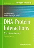 bokomslag DNA-Protein Interactions