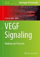 bokomslag VEGF Signaling