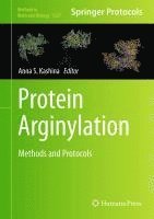 bokomslag Protein Arginylation