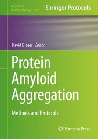 bokomslag Protein Amyloid Aggregation