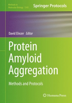 Protein Amyloid Aggregation 1