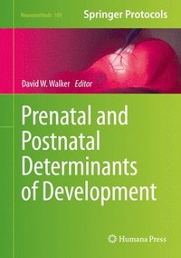 bokomslag Prenatal and Postnatal Determinants of Development