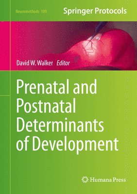 bokomslag Prenatal and Postnatal Determinants of Development