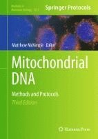 bokomslag Mitochondrial DNA