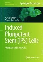 bokomslag Induced Pluripotent Stem (iPS) Cells