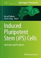 Induced Pluripotent Stem (iPS) Cells 1