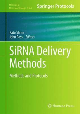 bokomslag SiRNA Delivery Methods