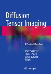 bokomslag Diffusion Tensor Imaging