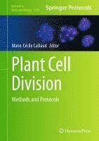 bokomslag Plant Cell Division