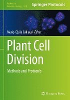 Plant Cell Division 1