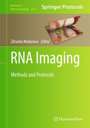 bokomslag RNA Imaging