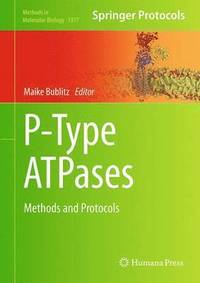 bokomslag P-Type ATPases