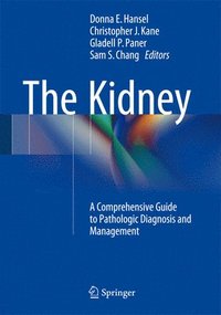 bokomslag The Kidney