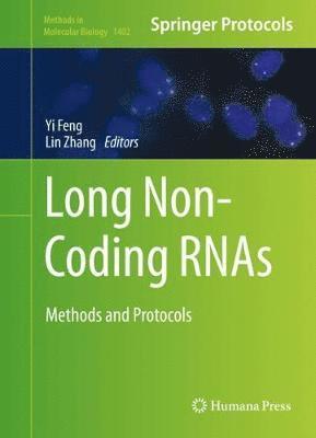 bokomslag Long Non-Coding RNAs