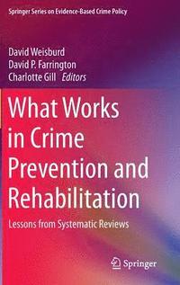 bokomslag What Works in Crime Prevention and Rehabilitation