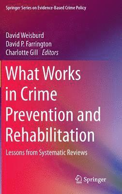 What Works in Crime Prevention and Rehabilitation 1