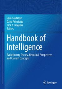 bokomslag Handbook of Intelligence