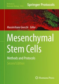 bokomslag Mesenchymal Stem Cells