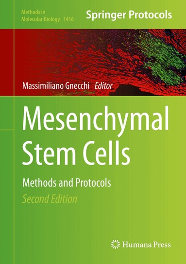 Massimiliano Gnecchi - Mesenchymal Stem Cells, Inbunden