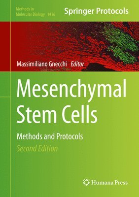 Mesenchymal Stem Cells 1