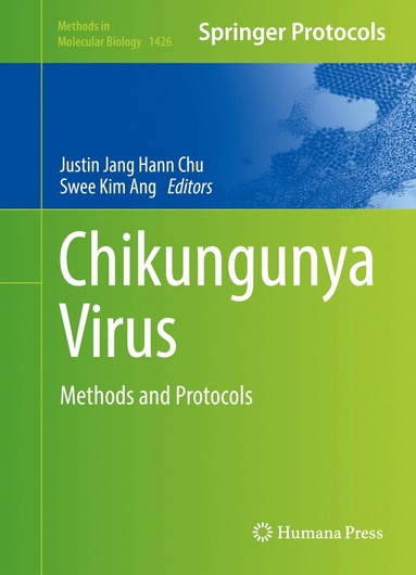 bokomslag Chikungunya Virus