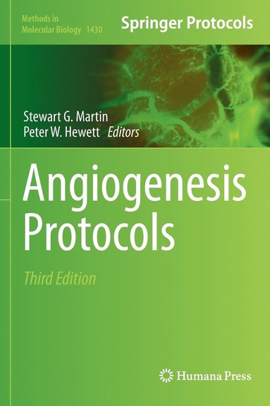 bokomslag Angiogenesis Protocols