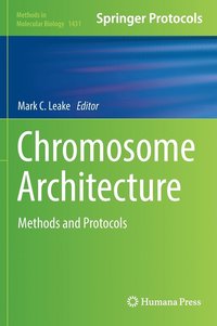 bokomslag Chromosome Architecture