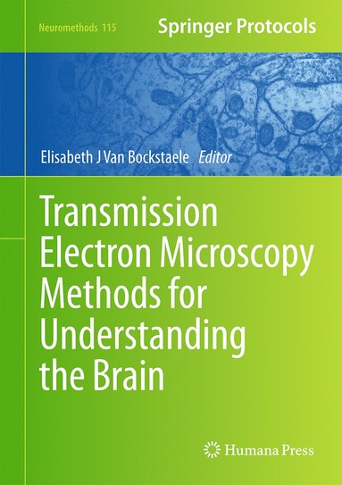 bokomslag Transmission Electron Microscopy Methods for Understanding the Brain
