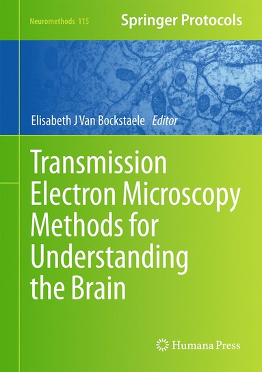 bokomslag Transmission Electron Microscopy Methods for Understanding the Brain